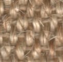 bari 3562 coco