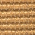 siam 2024 yellow